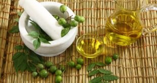 Benefits of Neem tree
