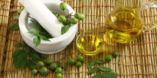 Benefits of Neem tree