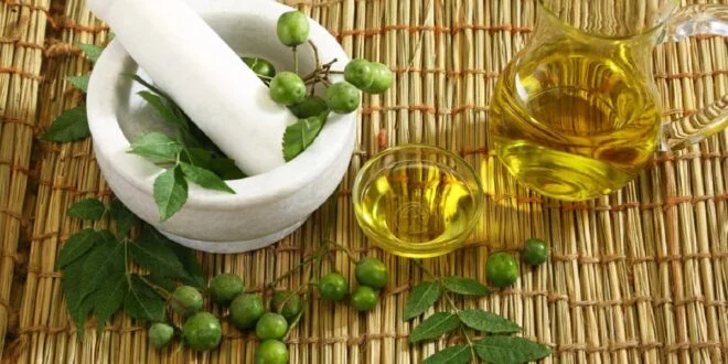 Benefits of Neem tree