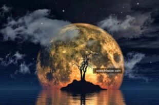 Harvest moon