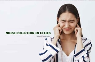 Noise pollution in cities
