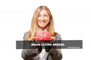Brain eating amoeba