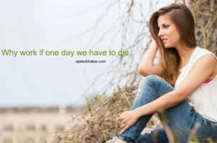 Why work if one day we have to die.
