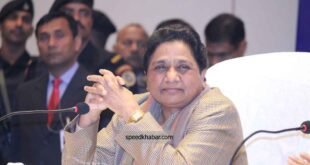 mayawati