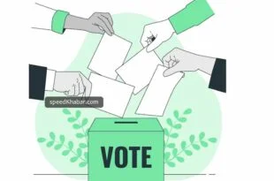 Voting