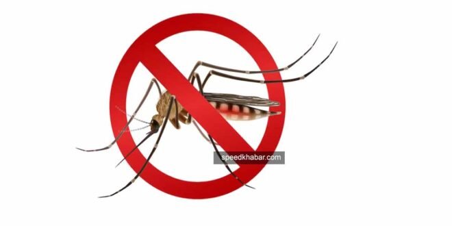 Highest Dengue cases all over India