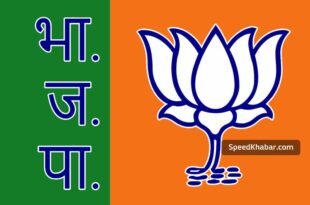 bjp flag