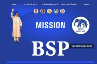 bsp banner