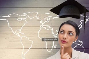 scholarship in foreign